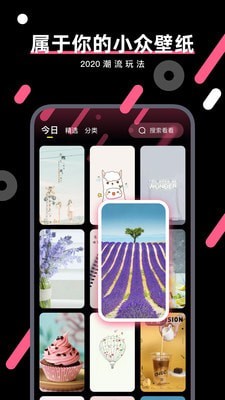 桔子壁纸  v4.04图1