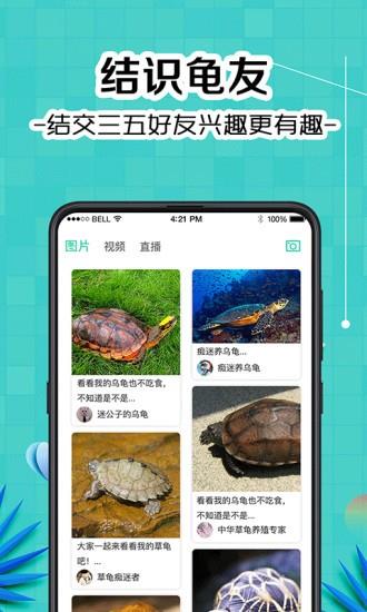 龟友圈  v3.1图1