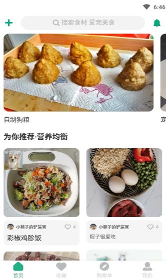 宠物食谱制作教学  v1.0.0图3