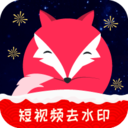 飞狐视频下载器手机版官网安装苹果版免费