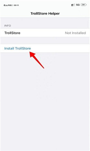 TrollStore巨魔商店ios13  v1.0图1