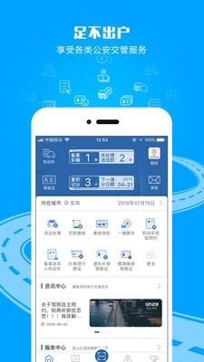 交管12123官网手机app下载  v2.4.8图2