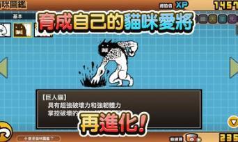 猫咪大战争最新版无限猫罐头  v6.2.0图2