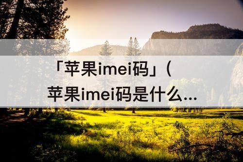 「苹果imei码」(苹果imei码是什么意思在哪里)